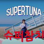 BTS Jin Super tuna Lyrics Korean English