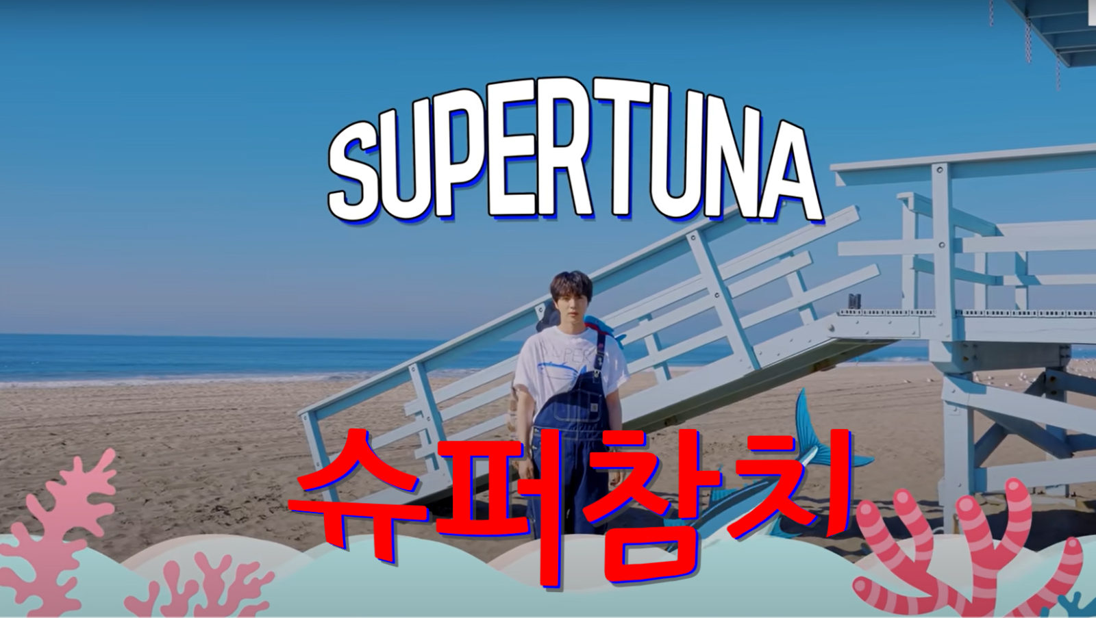 BTS Jin Super tuna Lyrics Korean English