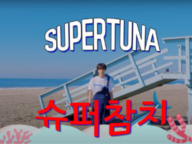 BTS Jin Super tuna Lyrics Korean English