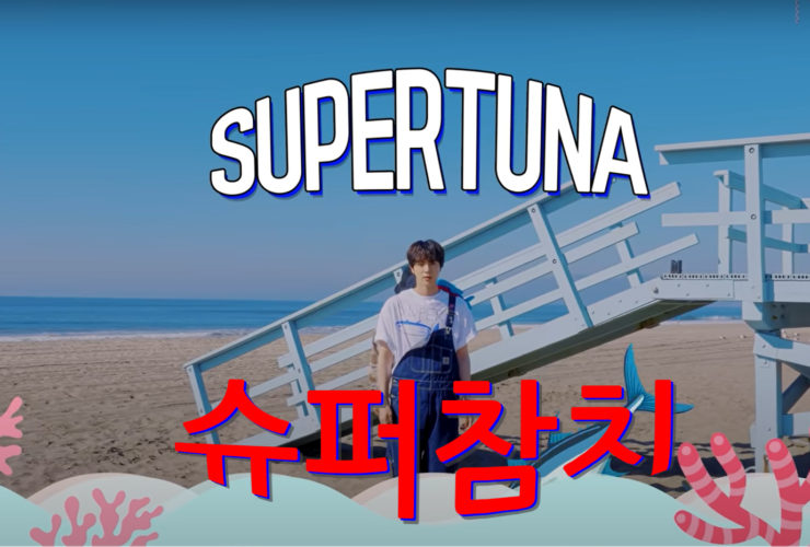 BTS Jin Super tuna Lyrics Korean English